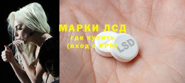 прущие грибы Армянск