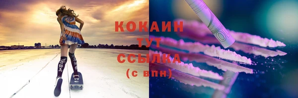 прущие грибы Армянск